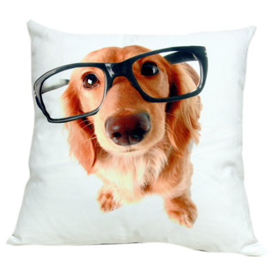 Cebrin Square Cushion Cover Cushion