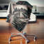 Coussin Cityscape Manhattan-29828411-29855002