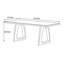 Table de salle à manger rectangulaire moderne-962099223