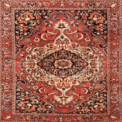 Nevin Wool Oriental Indoor Rug