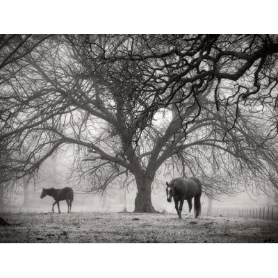 " Morning Calm II BW " by Debra Van Swearingen
