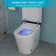 Smart Toilet With Bidet Built In