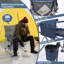 Chaise de camping pliante Aydrie