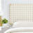 Modway Sparta Solid Wood Headboard-96356058-96356059