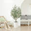 Adcock Artificial Olive Tree for Indoor & Outdoor Home Decor, Faux Olive Tree with Decorative Pot-1771617291-1771617289