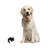 Edan Animals Figurines & Sculptures-1949917335