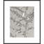 Lucent Botanicals 4 Print by Darrell Kincer-1950947865
