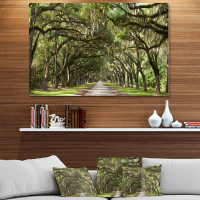 Live Oak Tunnel - Imprimé