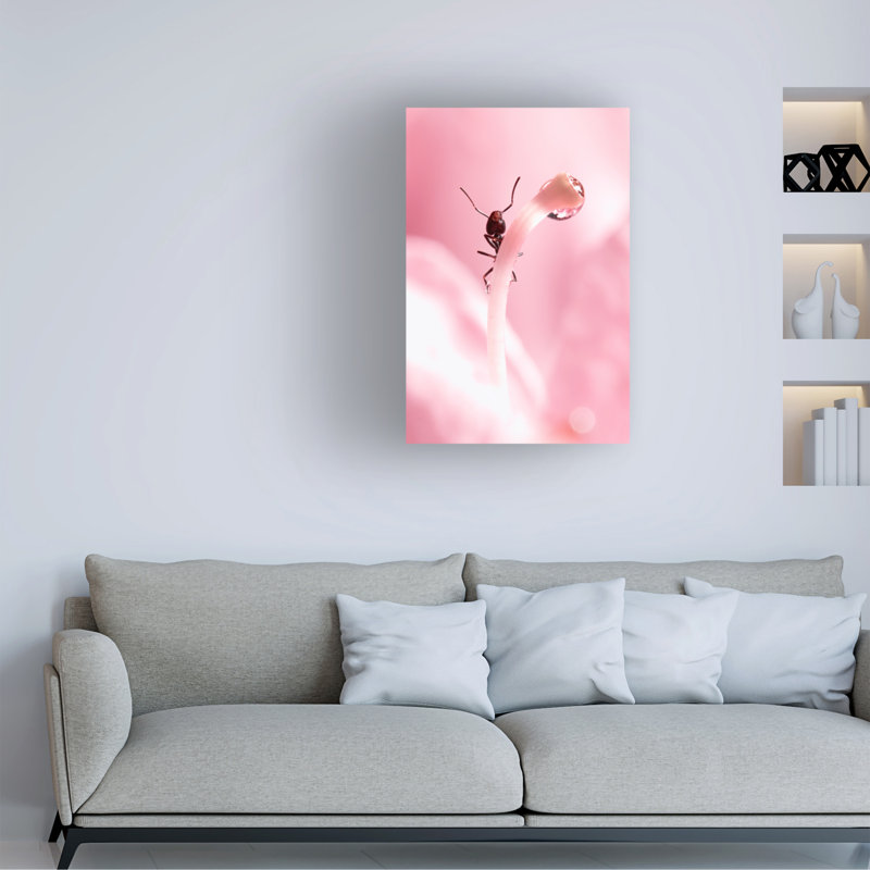 Art sur toile d'extase Fabien BRAVIN, H 19 po x l 12 po