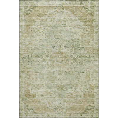 Premium Machine Washable Ashington AMF1832 Global Rug