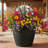 Anjelica Polyresin Large Round Outdoor Planter - 24" - Matte Black - Set of 2-1000136789