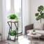 Plant Stand