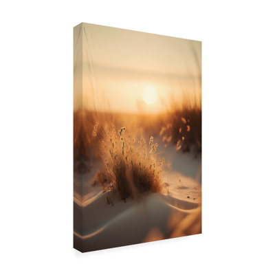 Treechild Sunset At The Beach Canvas Art