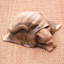 Figurine Shala