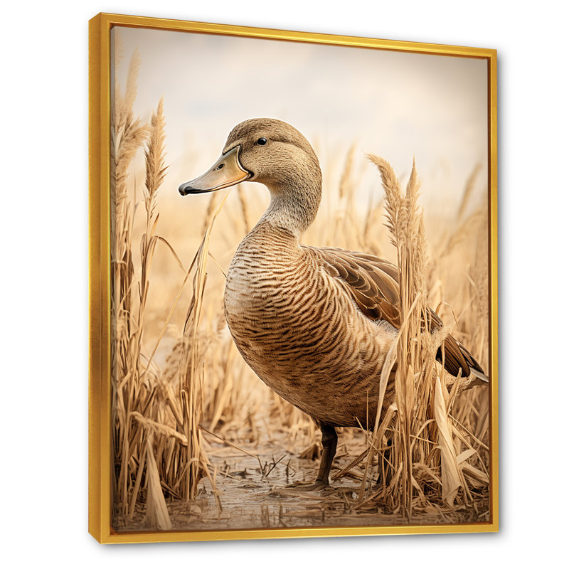 «Brown Duck Elegance I» - Art mural animal canard, Cadre flottant doré, H 32 po x l 16 po