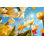 Été: ciel ensoleillé avec des fleurs de tulipes colorées