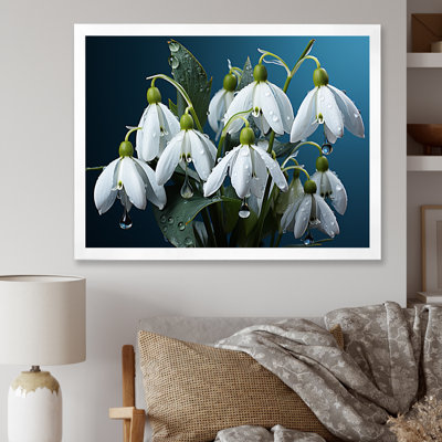 " Winter Snowdrop Flower Photography III "