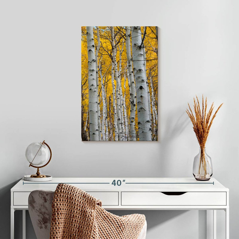 Troncs Alvord Aspen Forest, H 24 po x l 16 po