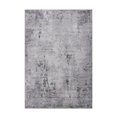 Living Room Bedroom Dining Home Office Stylish and Stain Resistant Area Rug
