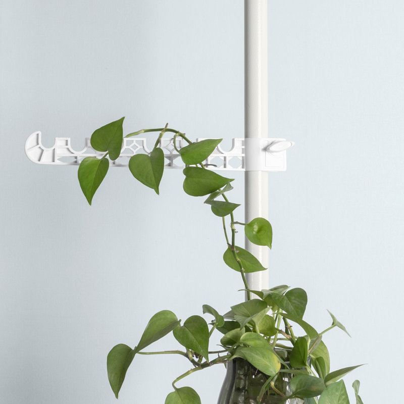 Keeve Plant Stand
