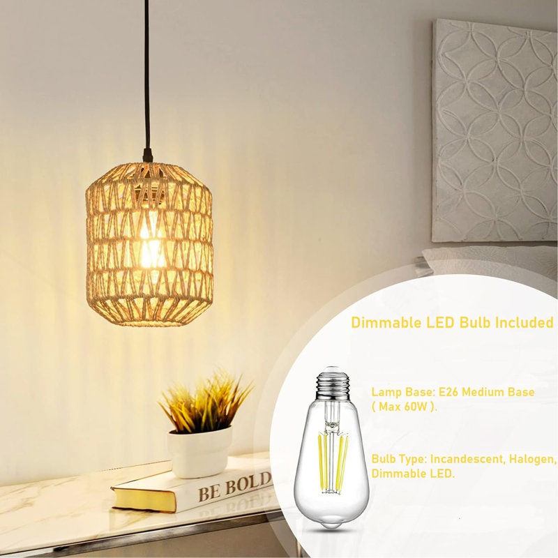 Plug In Pendant Light With LED Bulb