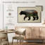 L'ours noir nord-américain-307570990-307570987