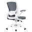 Chaise de bureau ergonomique en filet Office-1968346828