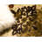 Eelijah Abstract Indoor Rug-20250155