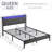 Ilenas 42" Bed with RGB lighting and charging-24147304