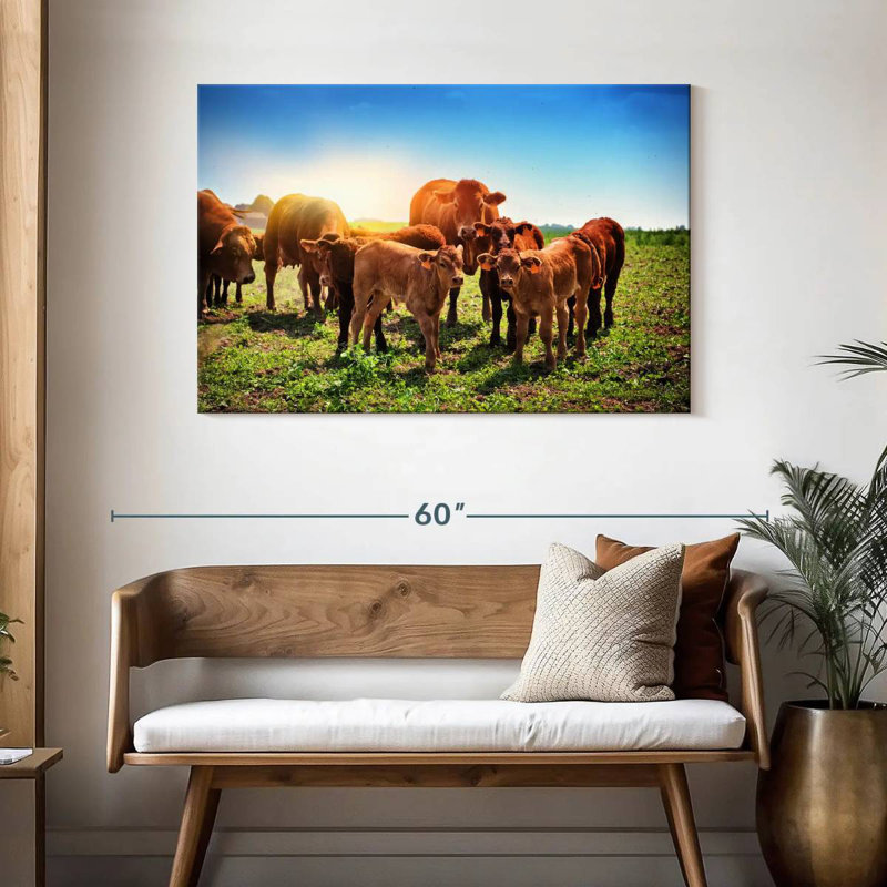 Brampt Grazing Baby Cows