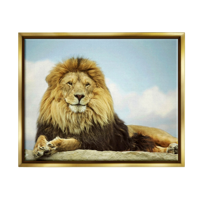 «Savanna Lion», photographie par estampe numérique par Carrie Ann Grippo-Pike, H 25 po x l 31 po x P 1,7 po