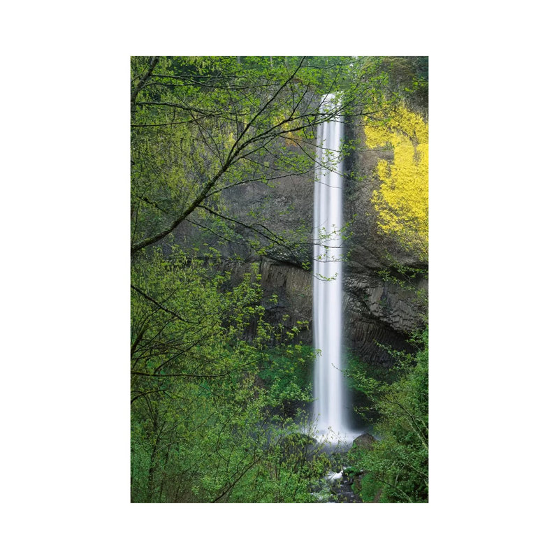 Latourell Falls, Columbia River Gorge Near Portland, Oregon I by Tim Fitzharris - Wrapped Canvas Print
