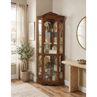 Goode Purvoche Lighted Curio Cabinet