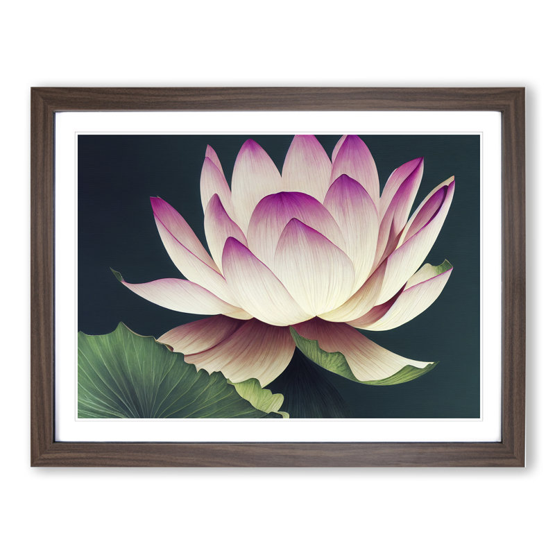 Cute Lotus Flower - Framed Print, 34cm H x 46cm W x 2cm D, Walnut