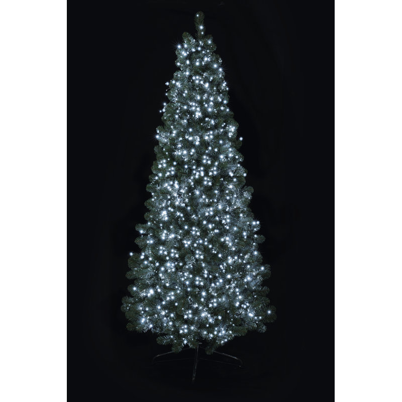 1000 LED Treebrights, White, 8 Hours on/16 Hours off