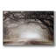 «Timeless Plantation Drive», reproduction sur toile avec cadre flottant