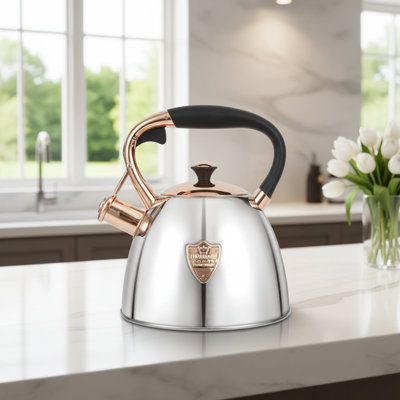 Théière sifflante en argent 2,9 pte, acier inoxydable, pour une utilisation sur la cuisinière