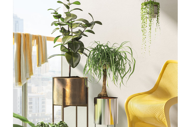 Potted plants and outdoor chair on a balcony.