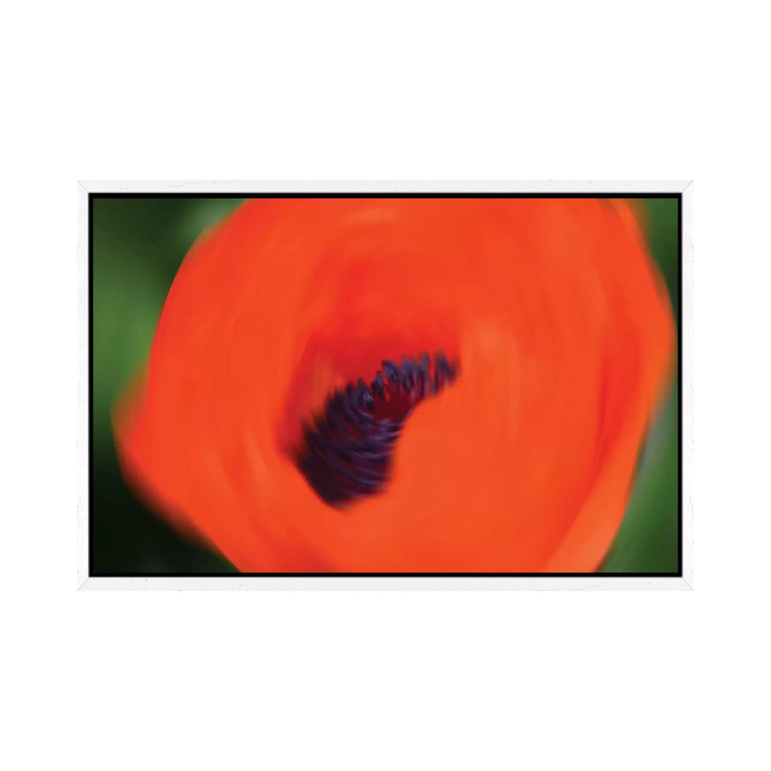 Orange Poppy von Savanah Plank - Galerie-verpackte Leinwand Giclée auf Leinwand