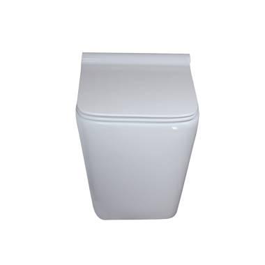 ᐅ【WOODBRIDGE Wall Hung 1.60 GPF/0.8 GPF Dual Flush Elongated Toilet with In- Wall Tank and Carrier System. F0130 + WHTA001-WOODBRIDGE】