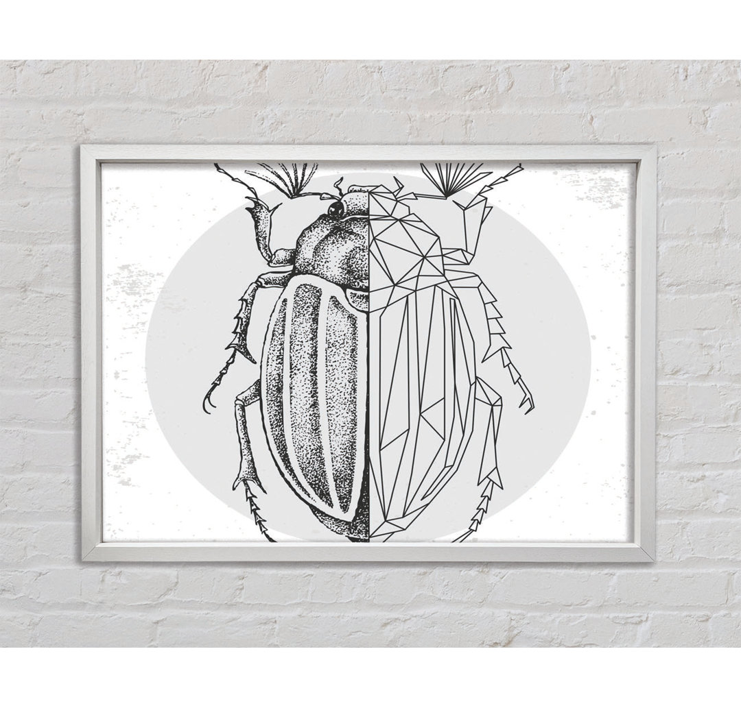 The Beetle Sketch - Single Picture Frame Kunstdrucke auf Leinwand