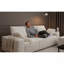 103.5-inch Cloud-style Sectional Sofa With L-shaped Recliner-2065856435