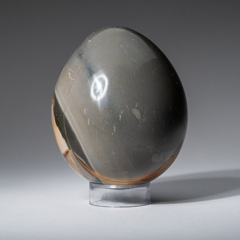 Genuine Polished Polychrome Jasper Egg from Madagascar (1.19 Lbs)