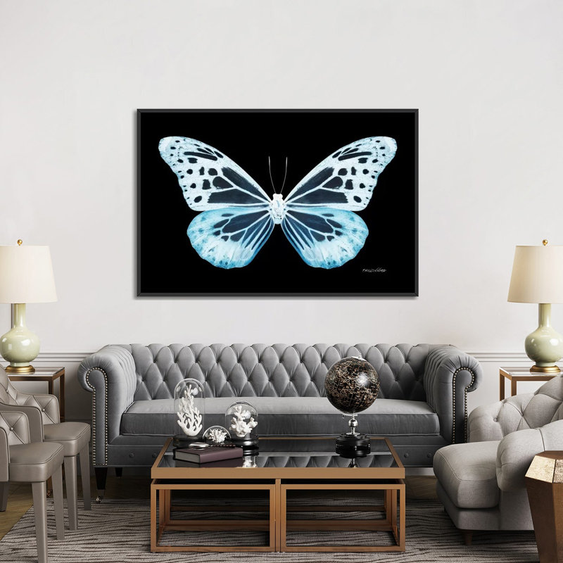 « miss papillon x-ray xxiv », impression sur toile, H 40 po x l 60 po x P 1,5 po, Toile avec cadre noir