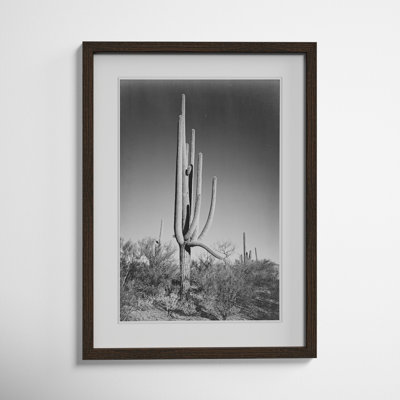 Saguaro National Monument Print by Ansel Adams
