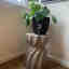 Photos des clients 1 de 1