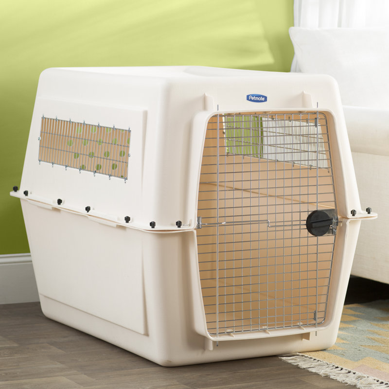Chyene Plastic Pet Crate with 1 Door