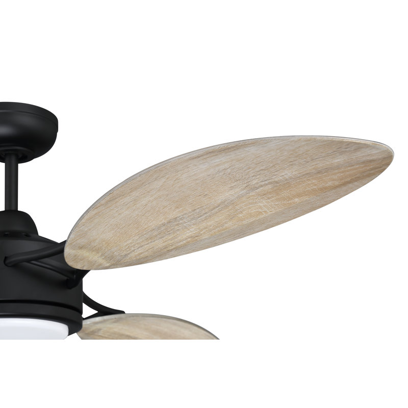 Amdi 64'' Ceiling Fan with LED Lights, Flat Black/Beige