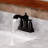 Wild Drop-In 2-handle Bathroom Faucet with Drain Assembly