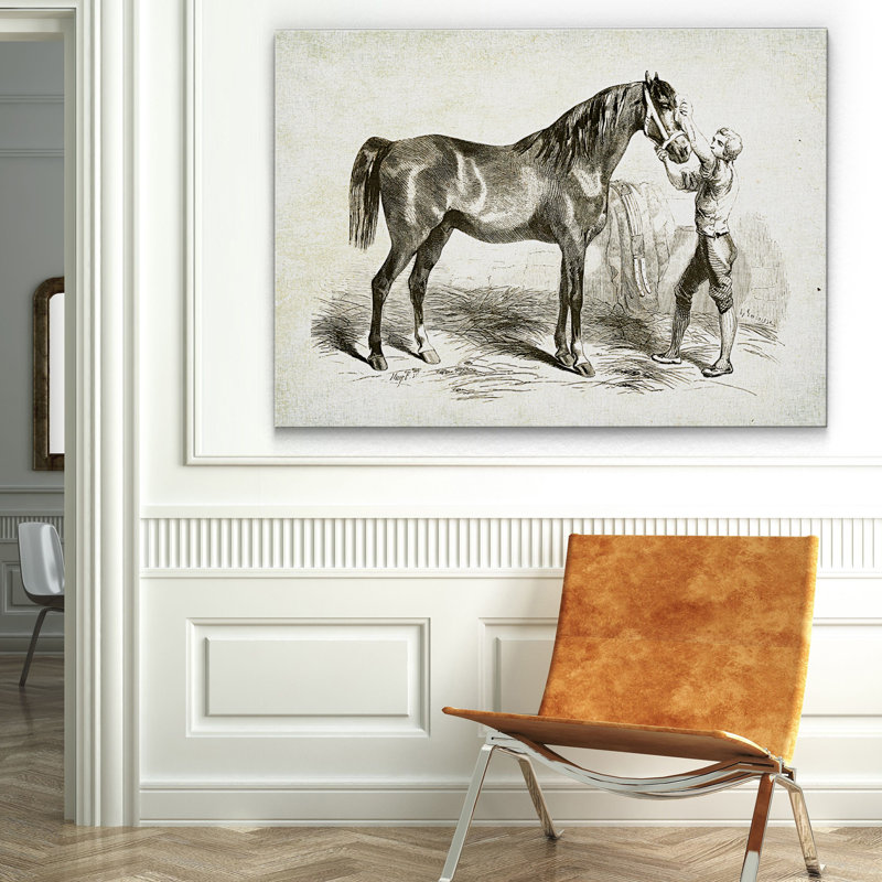 « équin sketch v », impression, H 18 po x l 27 po x P 1,5 po, Pas de tapis, Toile tendue